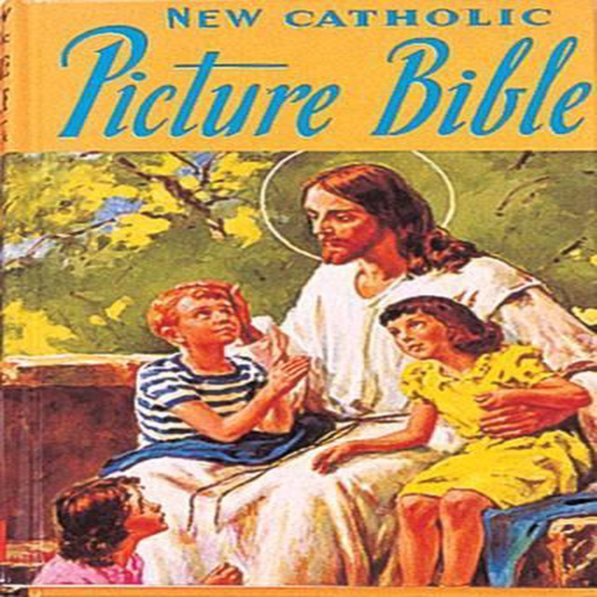 Catholic Picture Bible