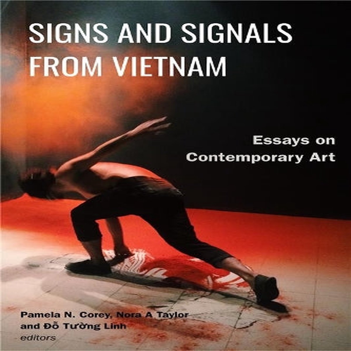 Signs and Signals from Vietnam