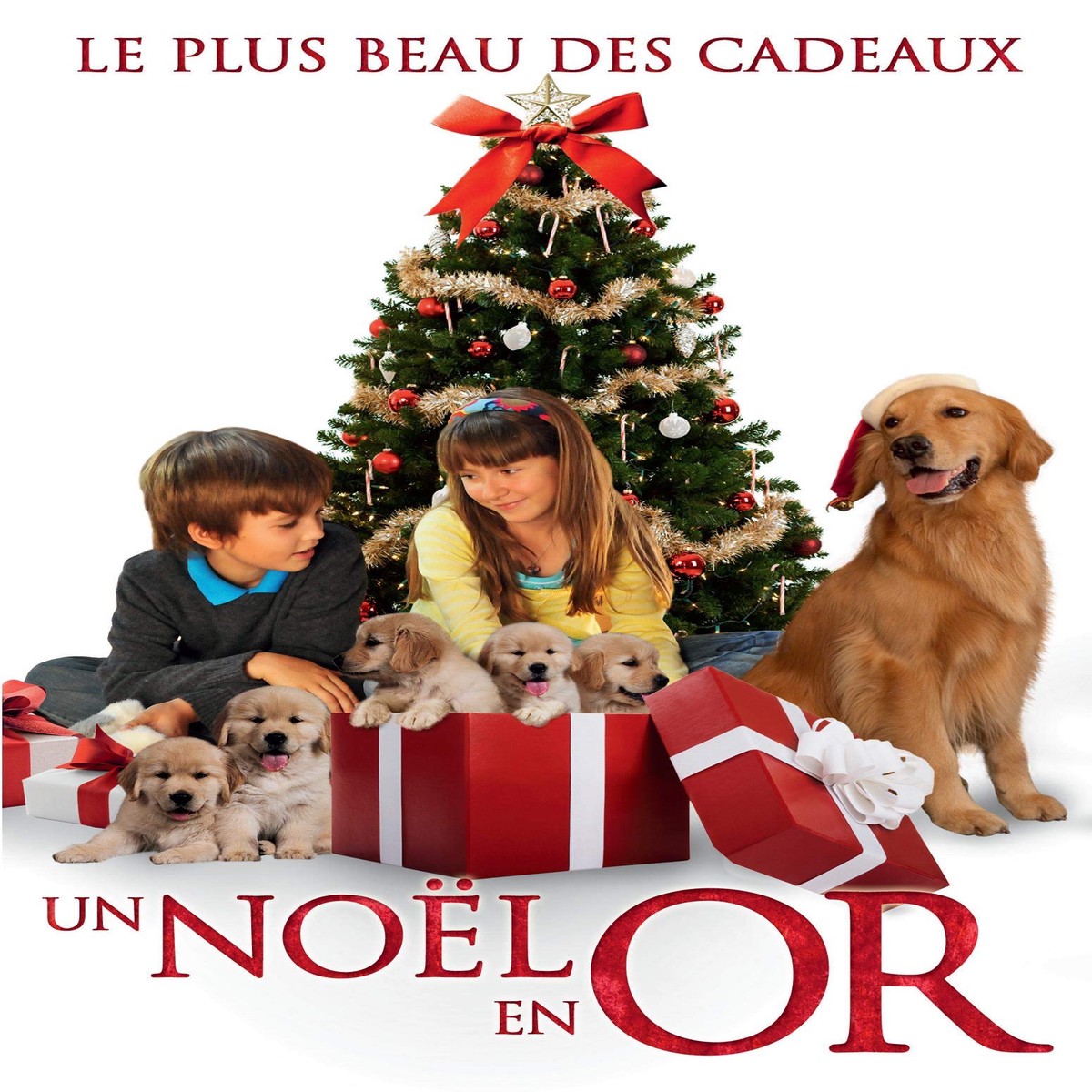 Un Noel En Or