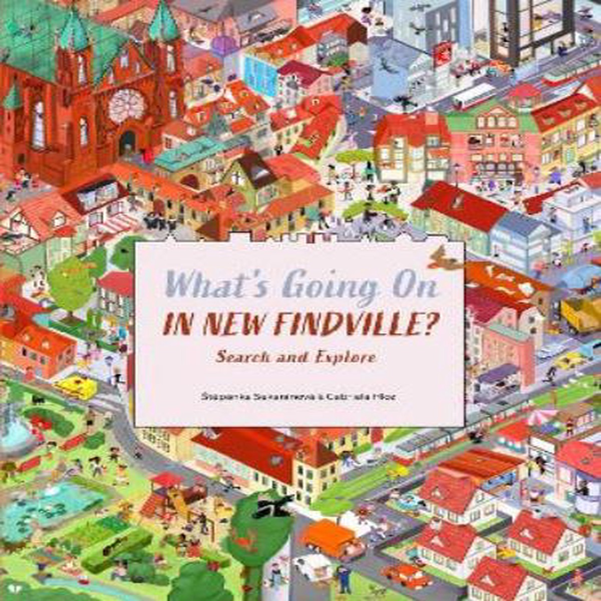 Whats Going On in New Findville?