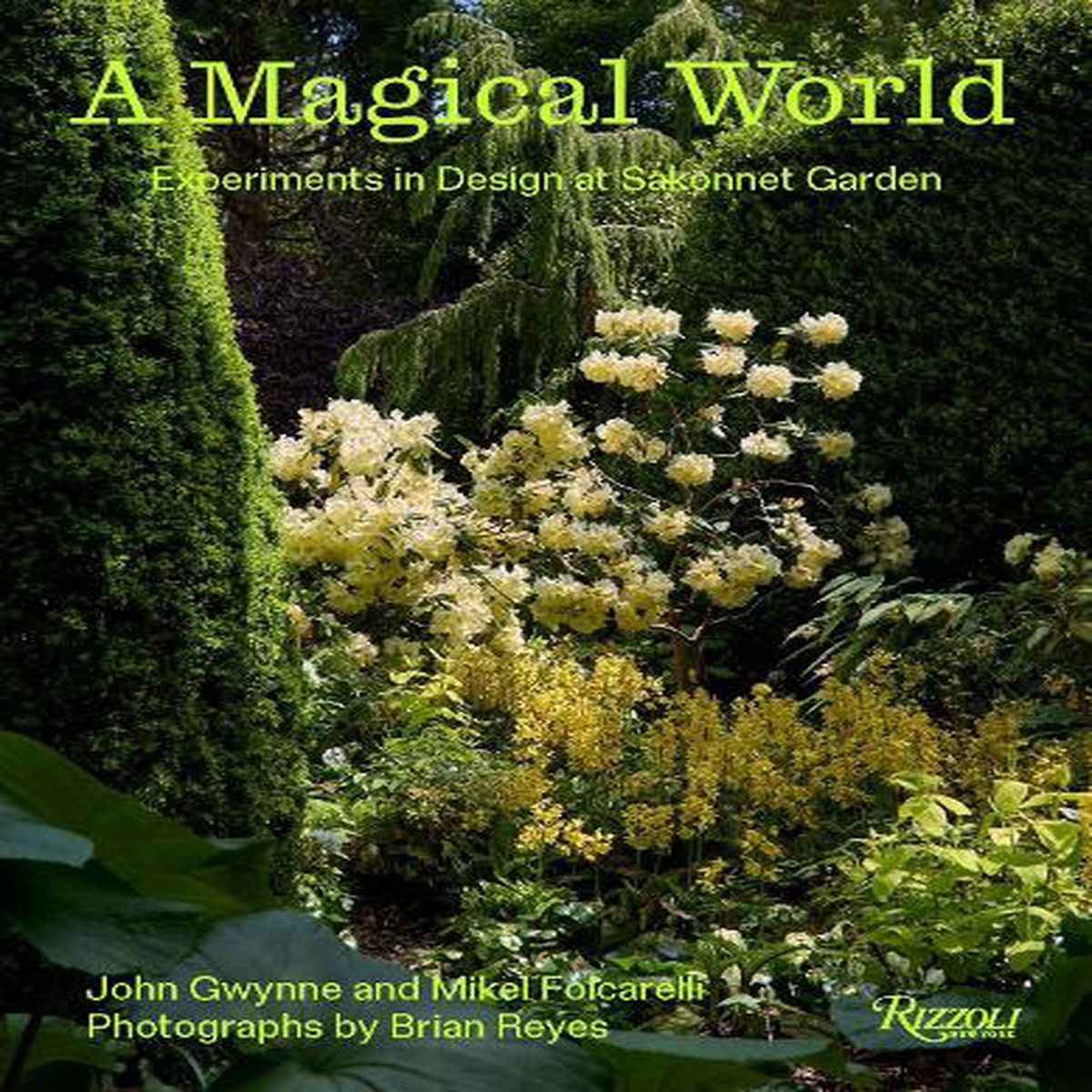 A Magical World