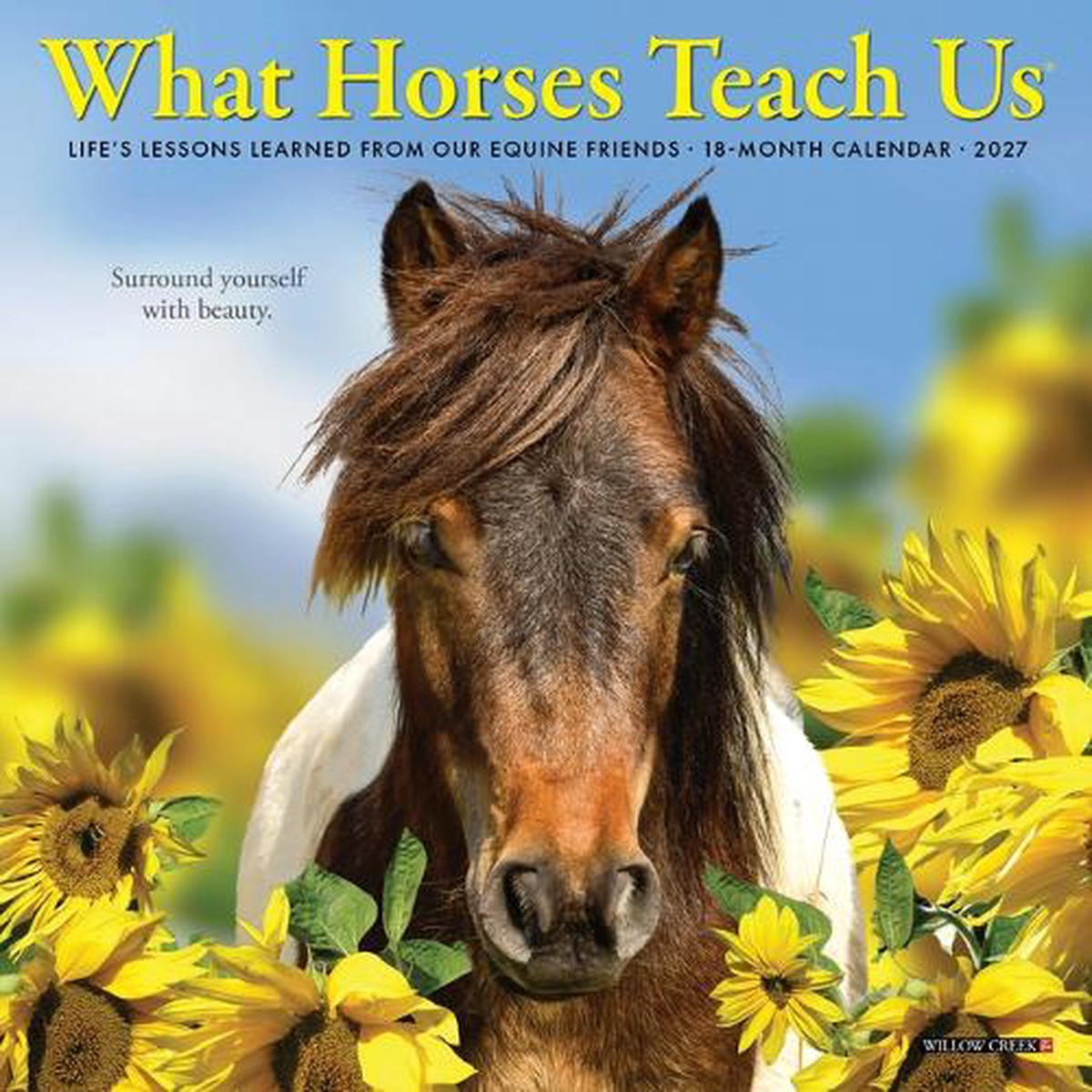 What Horses Teach Us 2027 Mini