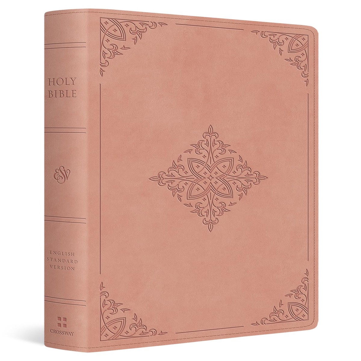 Hot Sale ESV Large Print Value Personal Size Bible