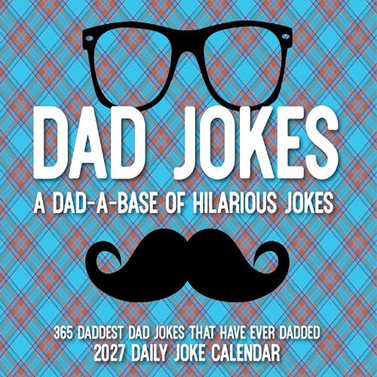 Dad Jokes 2027 Box