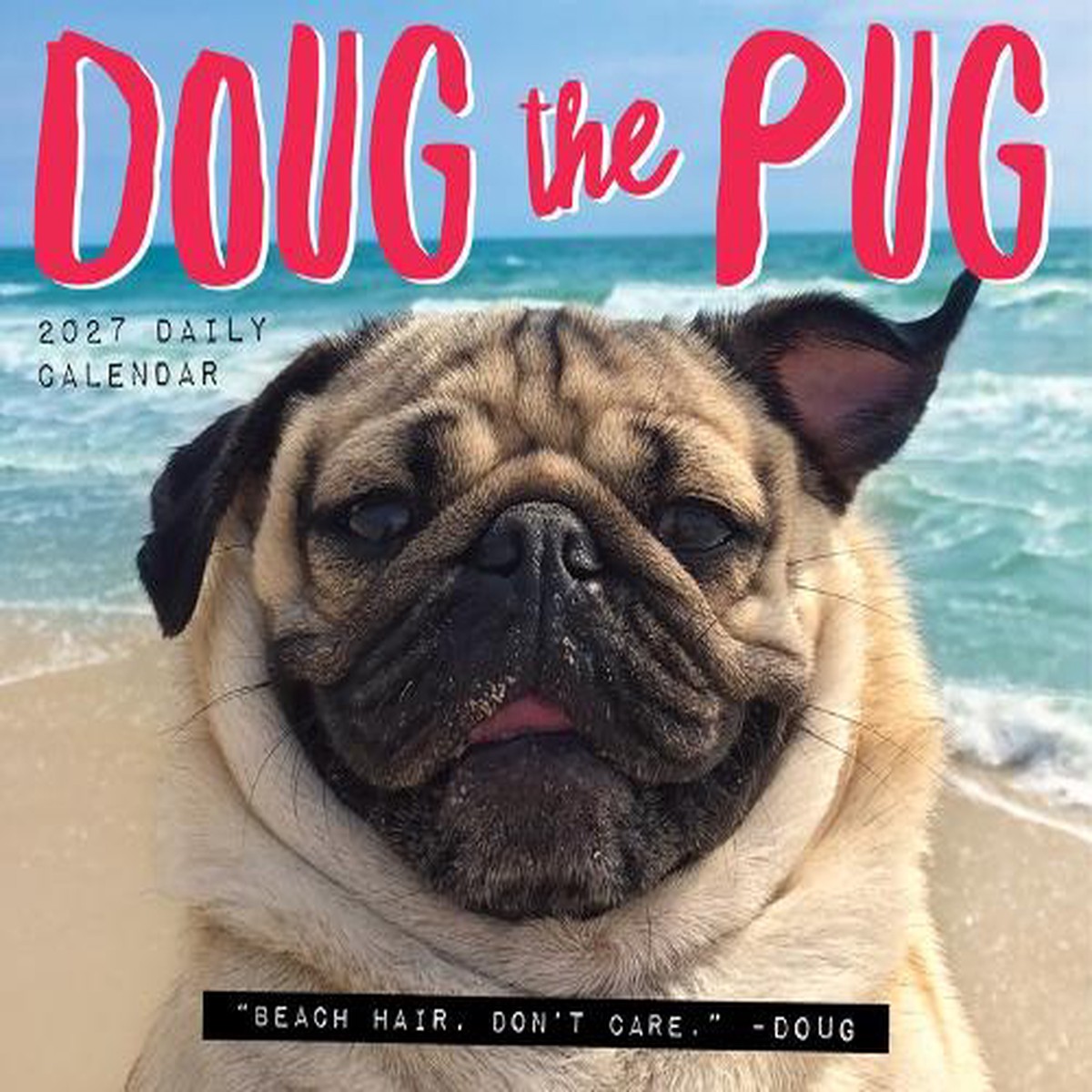 Doug the Pug 2027 Box