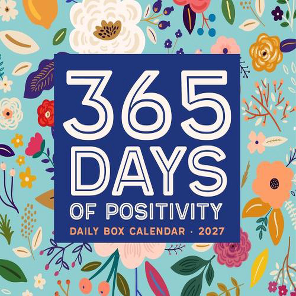 365 Days of Positivity 2027 Box