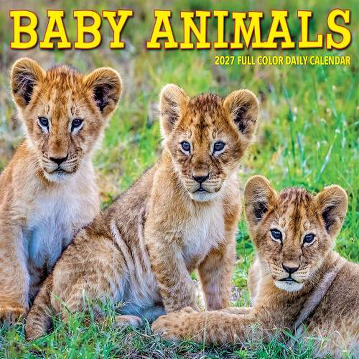 Baby Animals 2027 Box