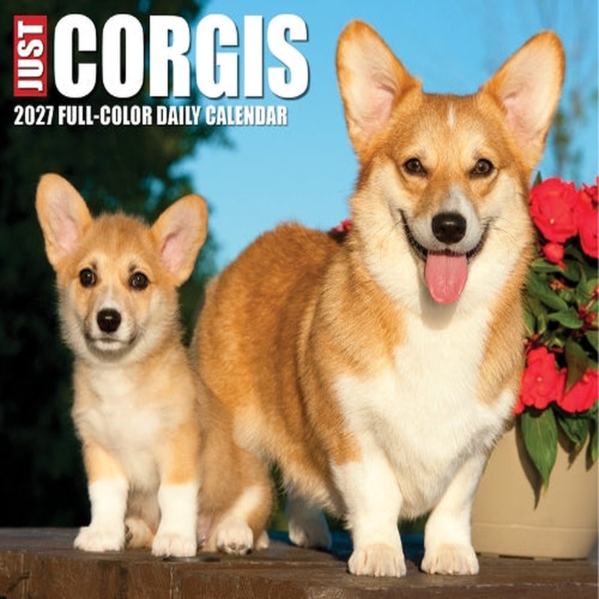 Corgis 2027 Box