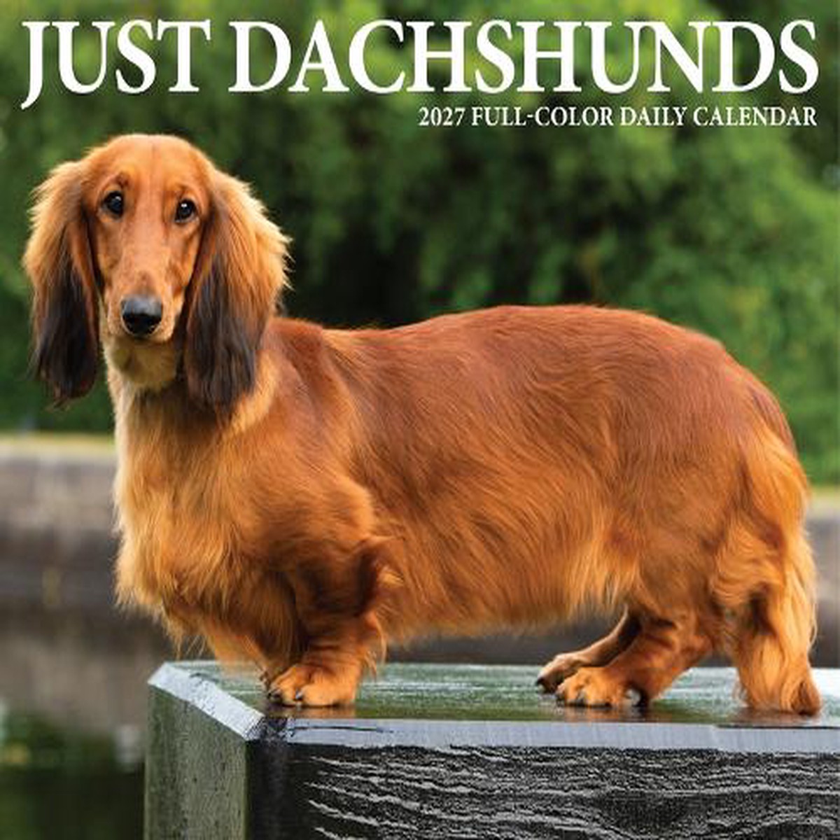 Dachshunds 2027 Box