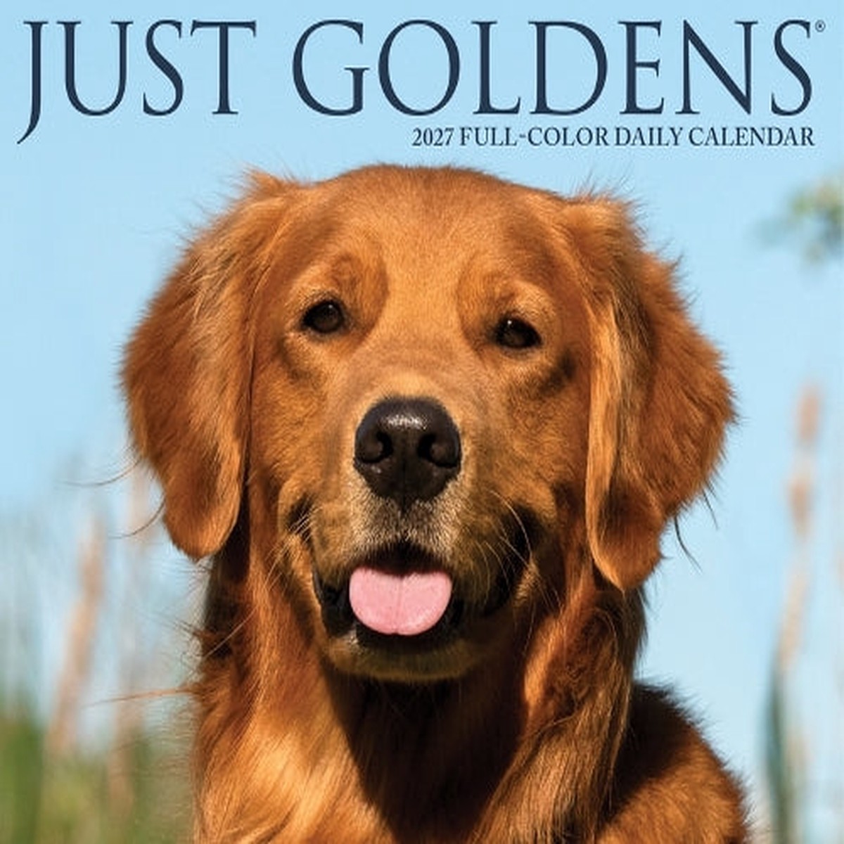 Goldens 2027 Box
