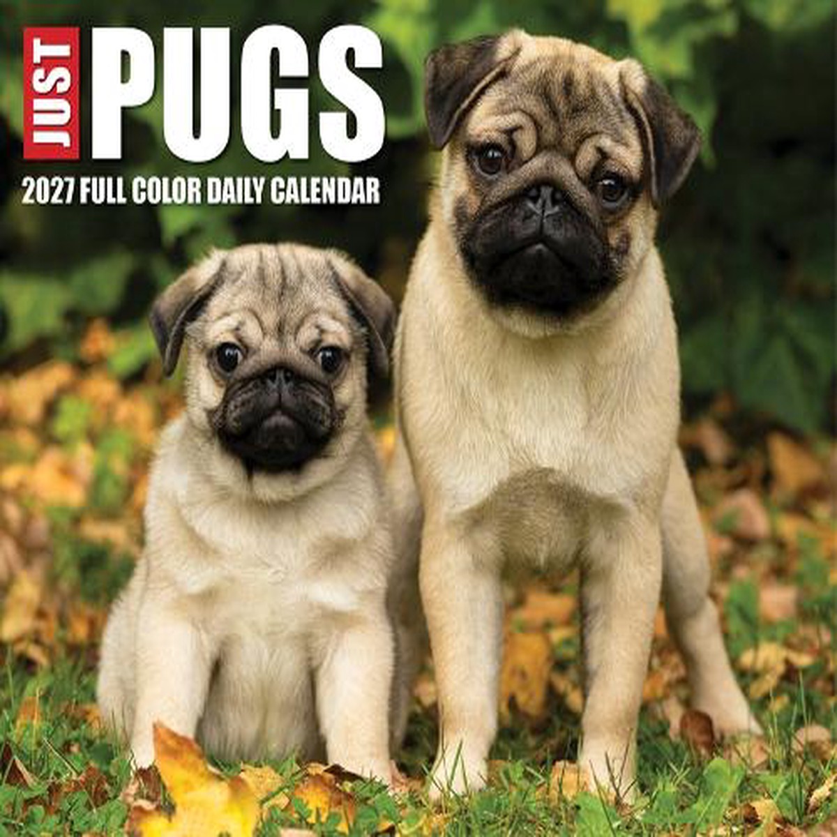 Pugs 2027 Box