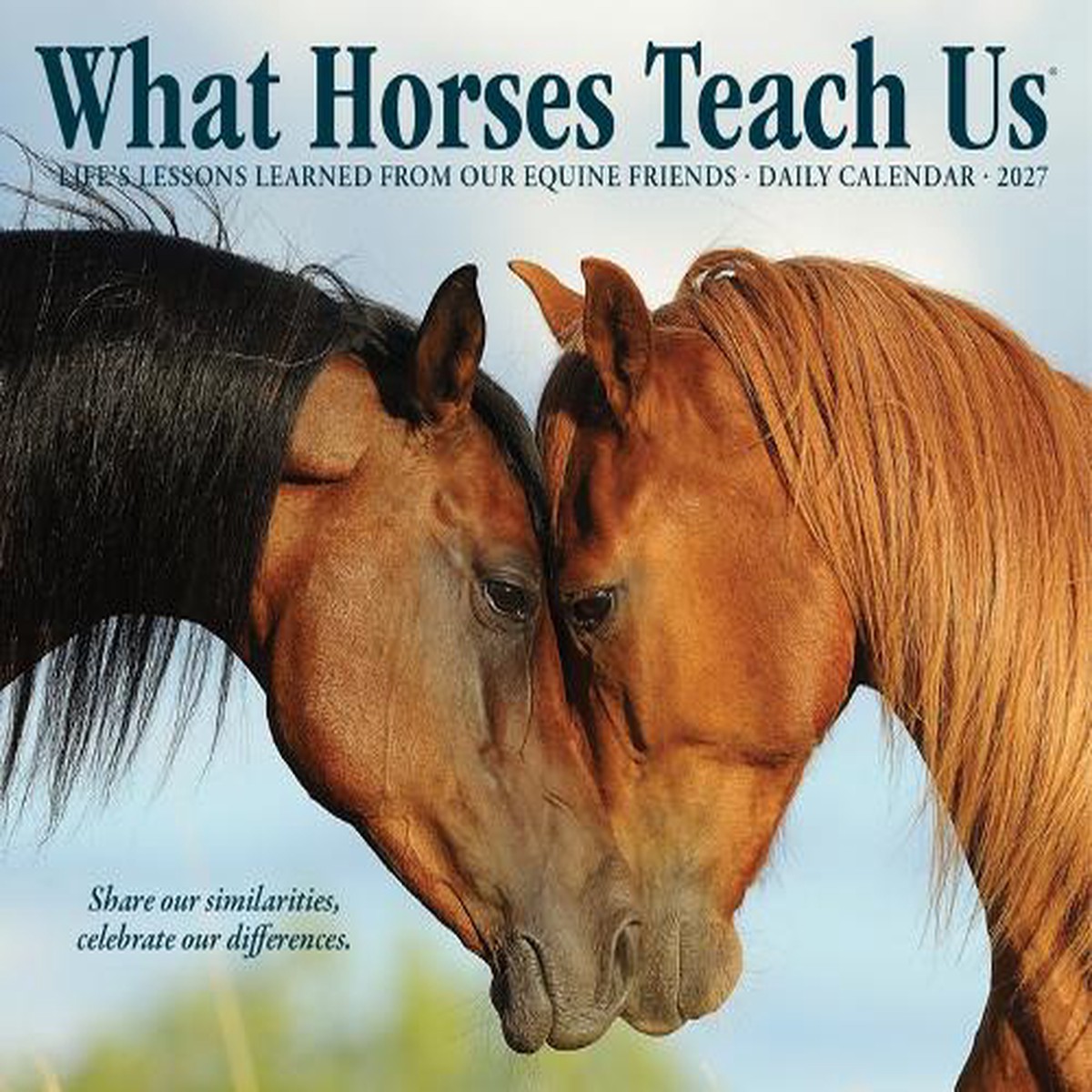 What Horses Teach Us 2027 Box