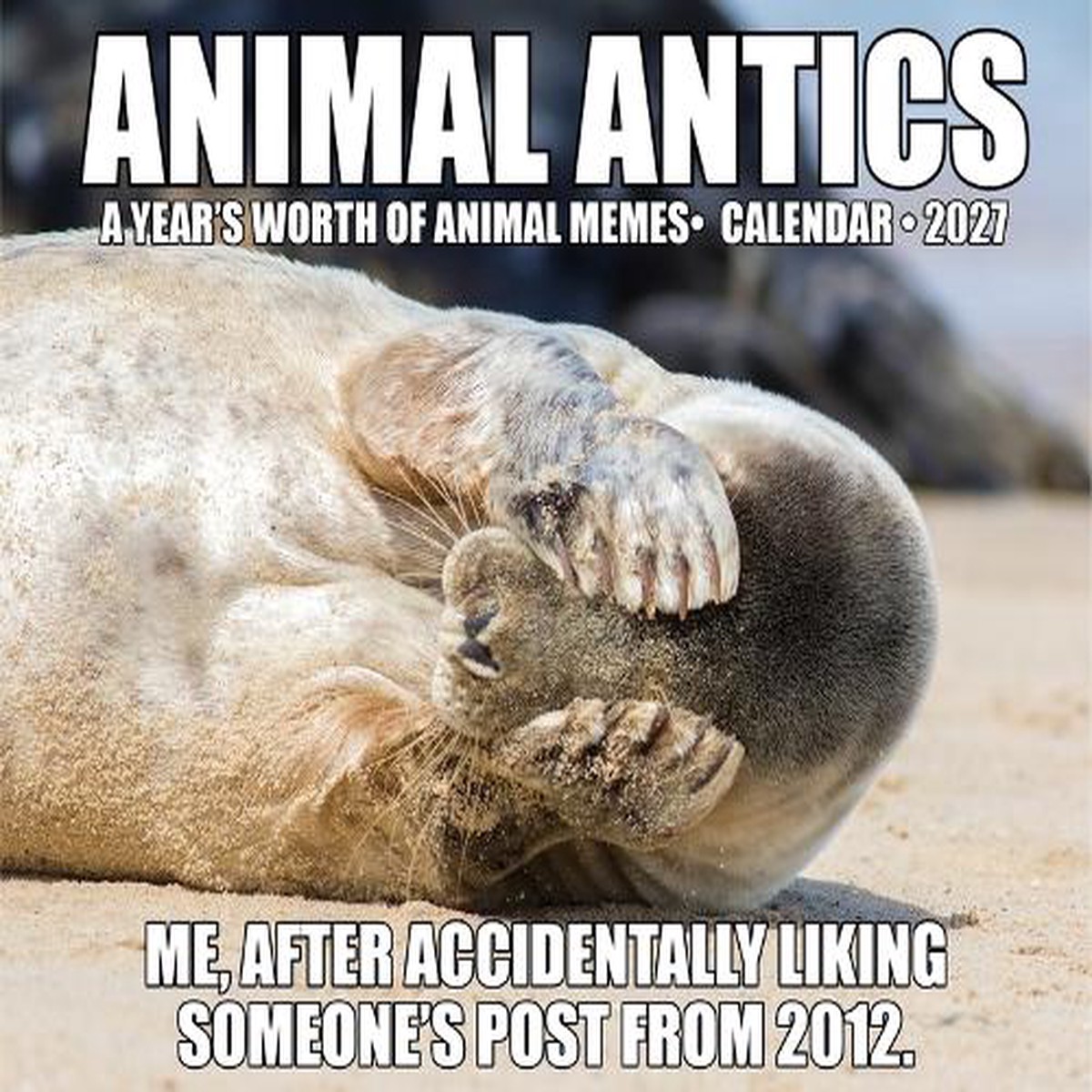 Animal Antics 2027 Box