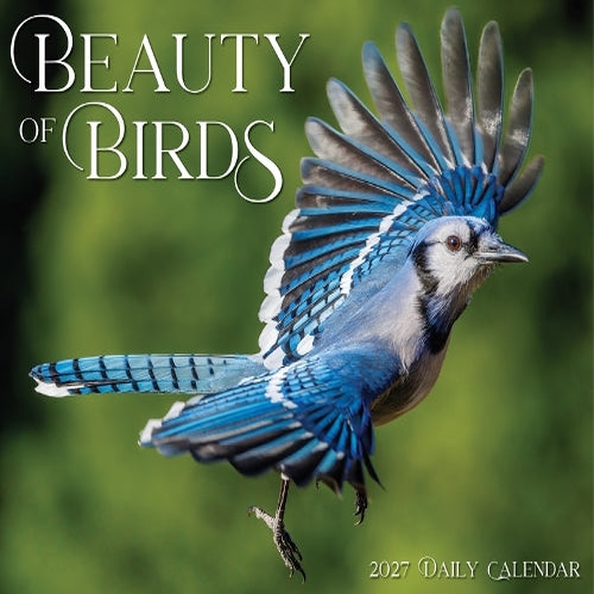 Beauty of Birds 2027 Box