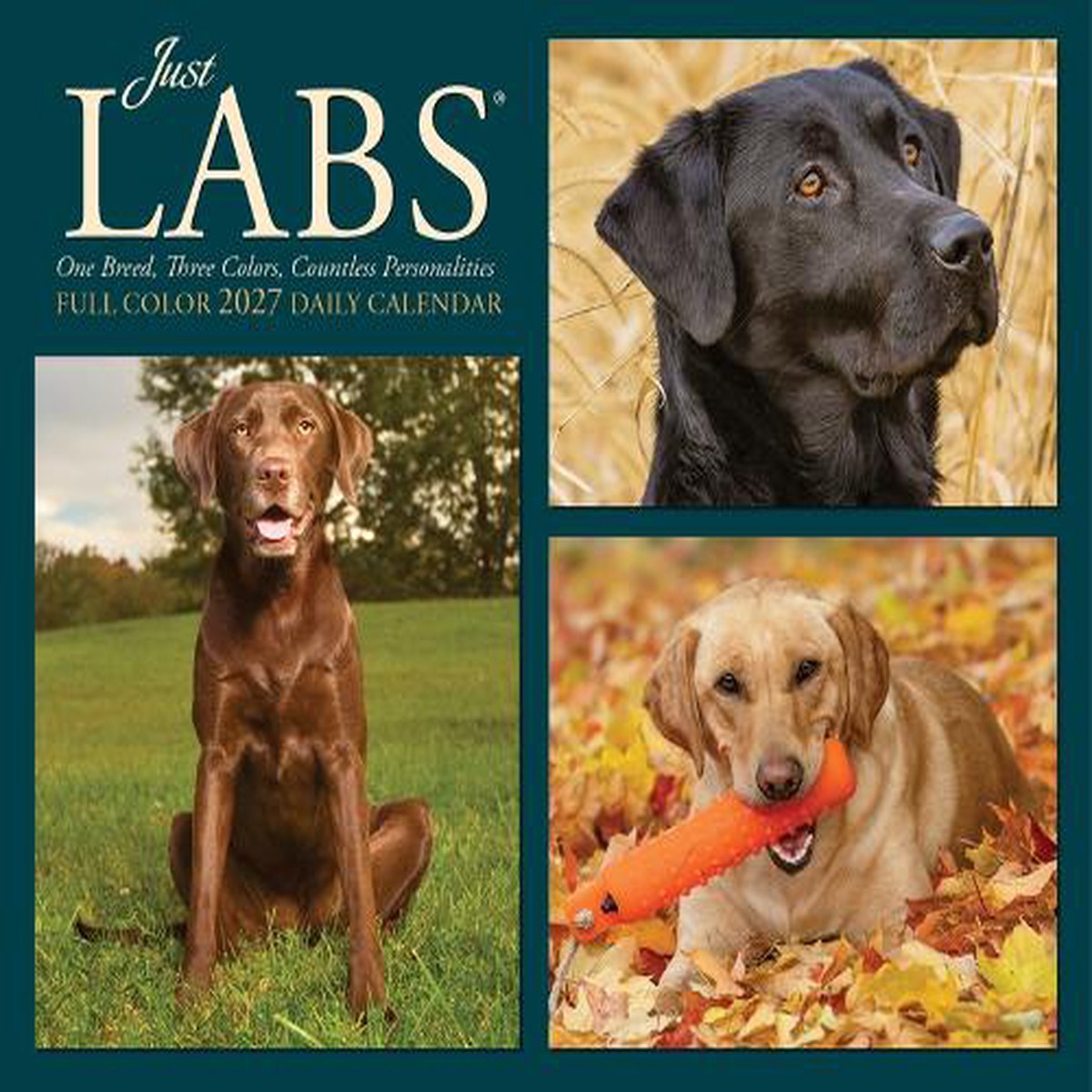 Labs 2027 Box