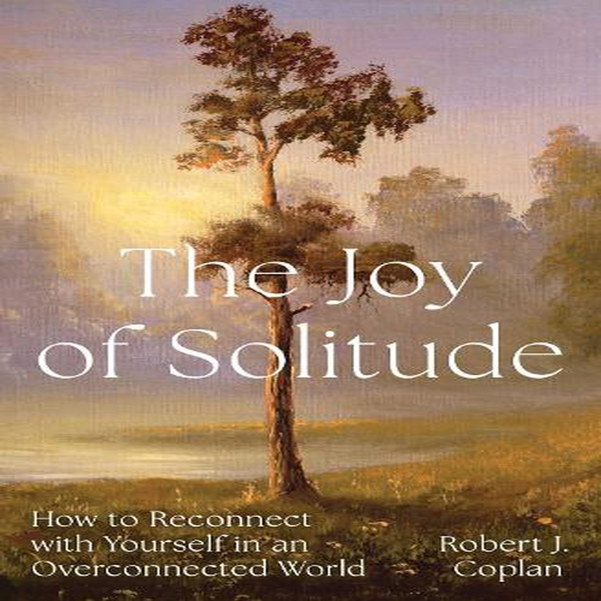 The Joy of Solitude