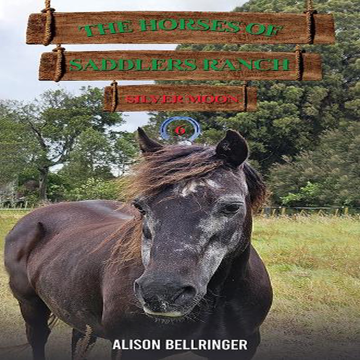 The Horses of Saddlers Ranch: Silver Moon