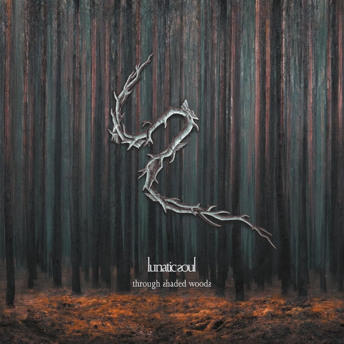 New Arrival Through Shaded Woods