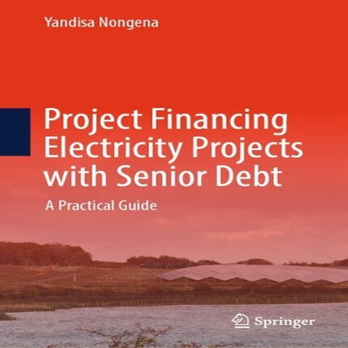 Project Financing Electricity Projects with Senior Debt
