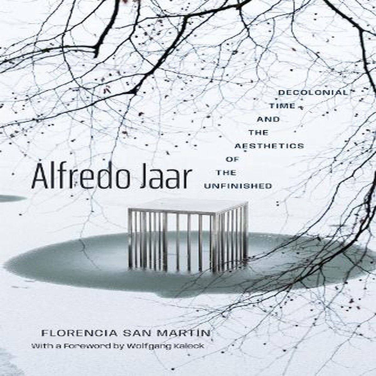 Hot Sale Alfredo Jaar