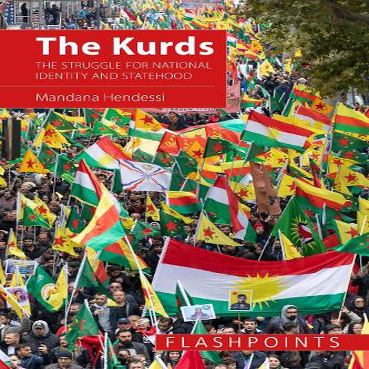Hot Sale The Kurds