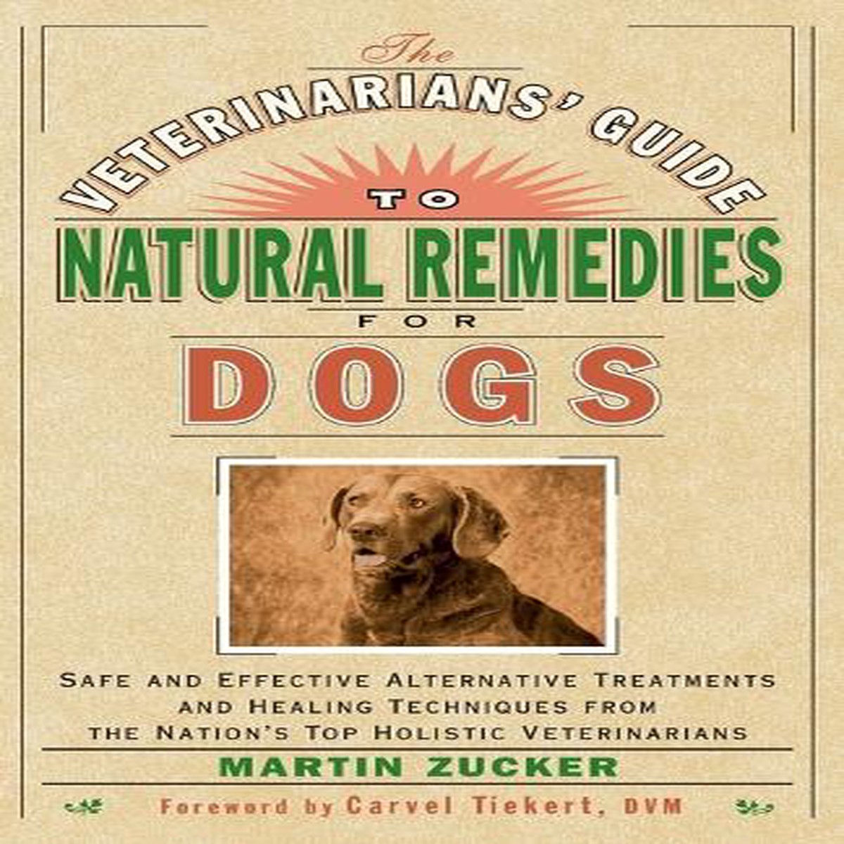 The Veterinarians’ Guide to Natural Remedies for Dogs