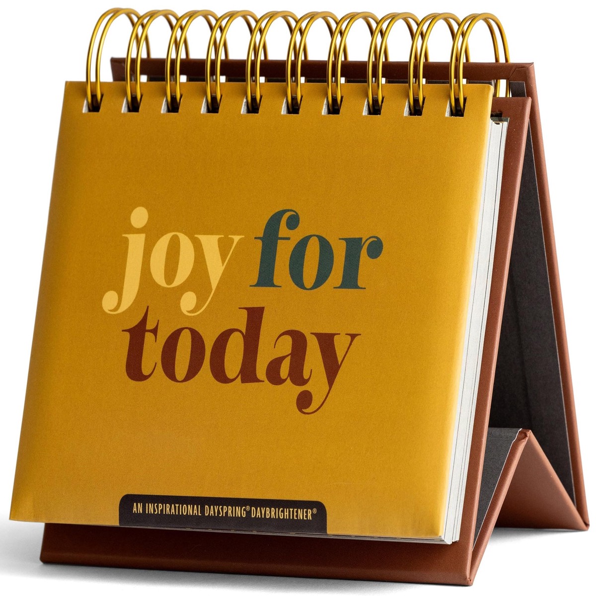 Joy for Today: An Inspirational DaySpring DayBrightener – Perpetual Calendar