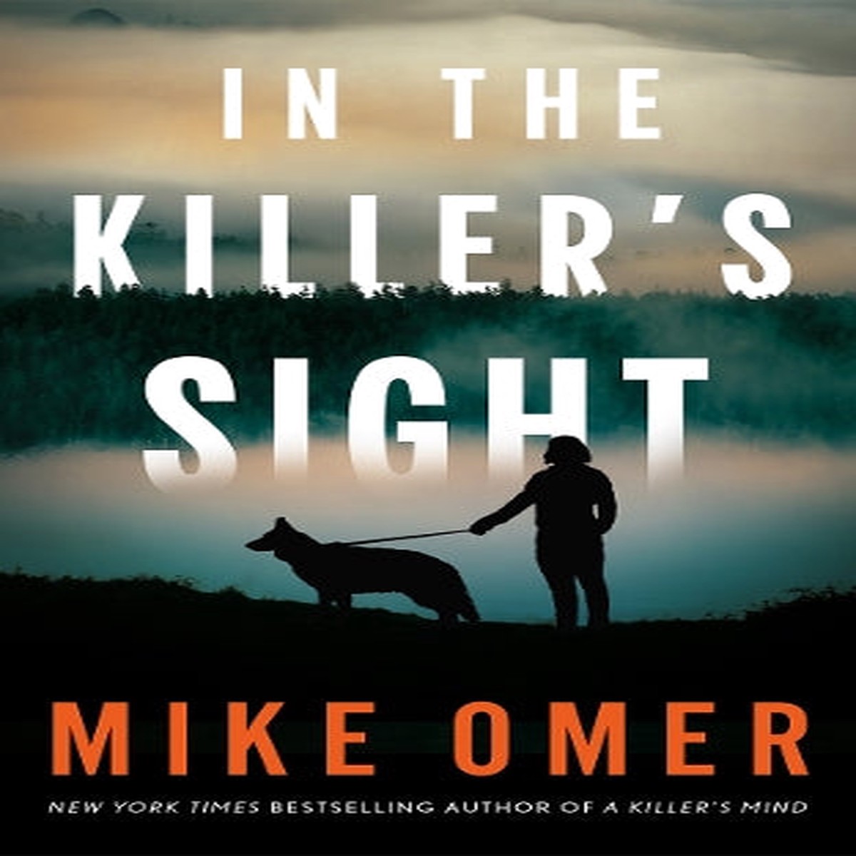 In the Killer’s Sight