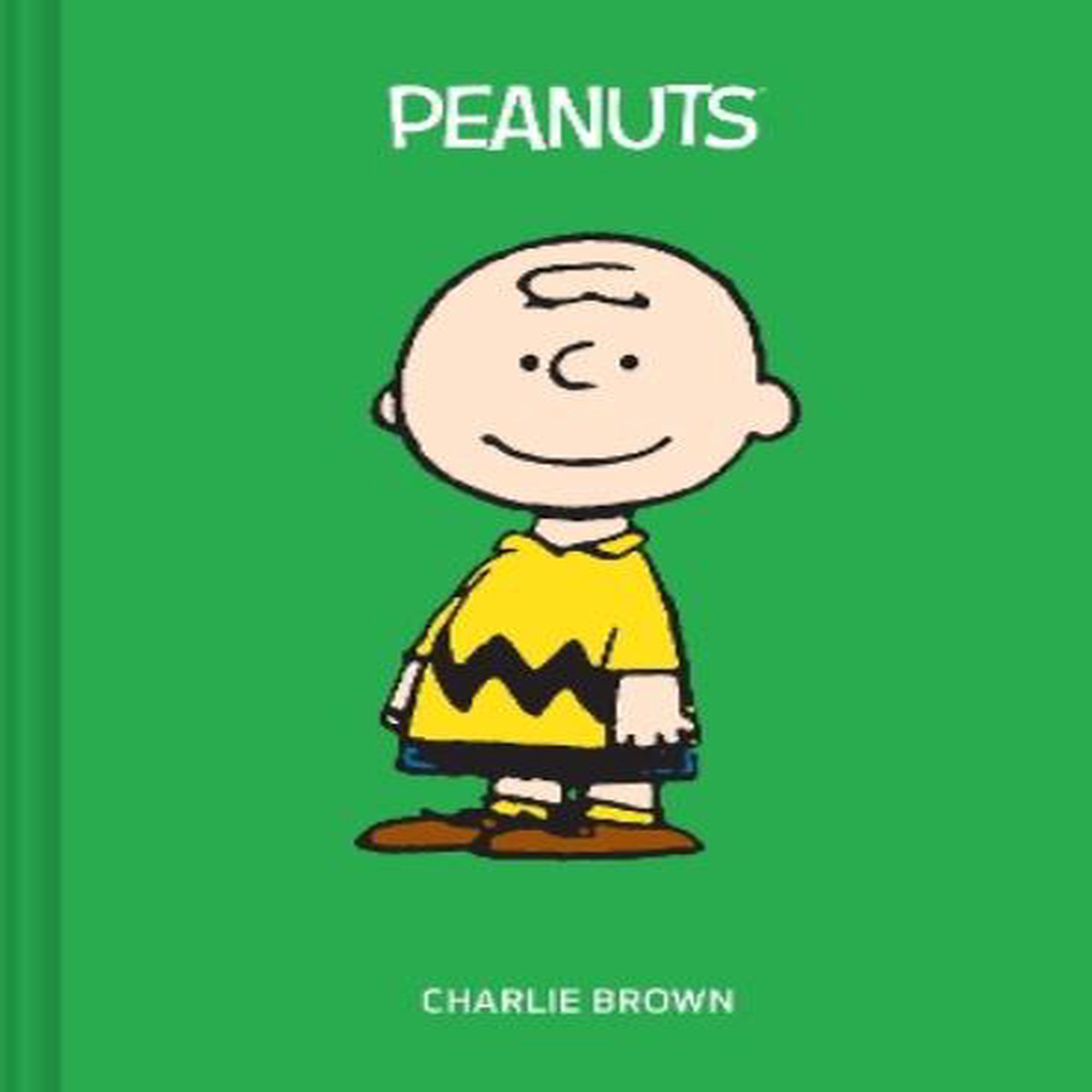 Peanuts Charlie Brown Plush Journal