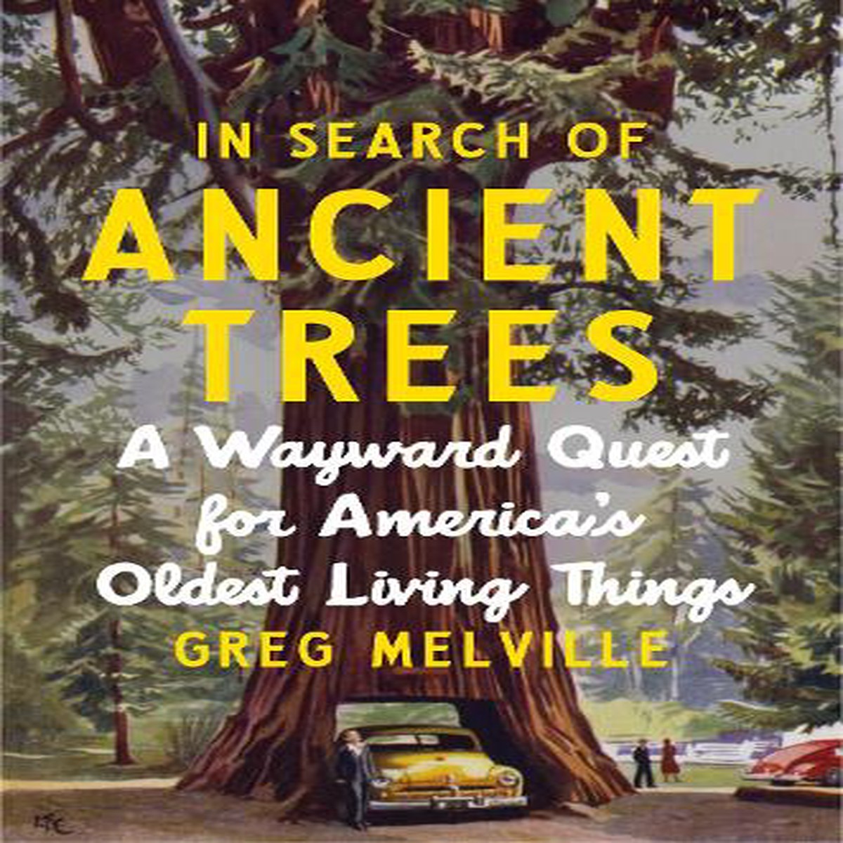 In Search of Ancient Trees