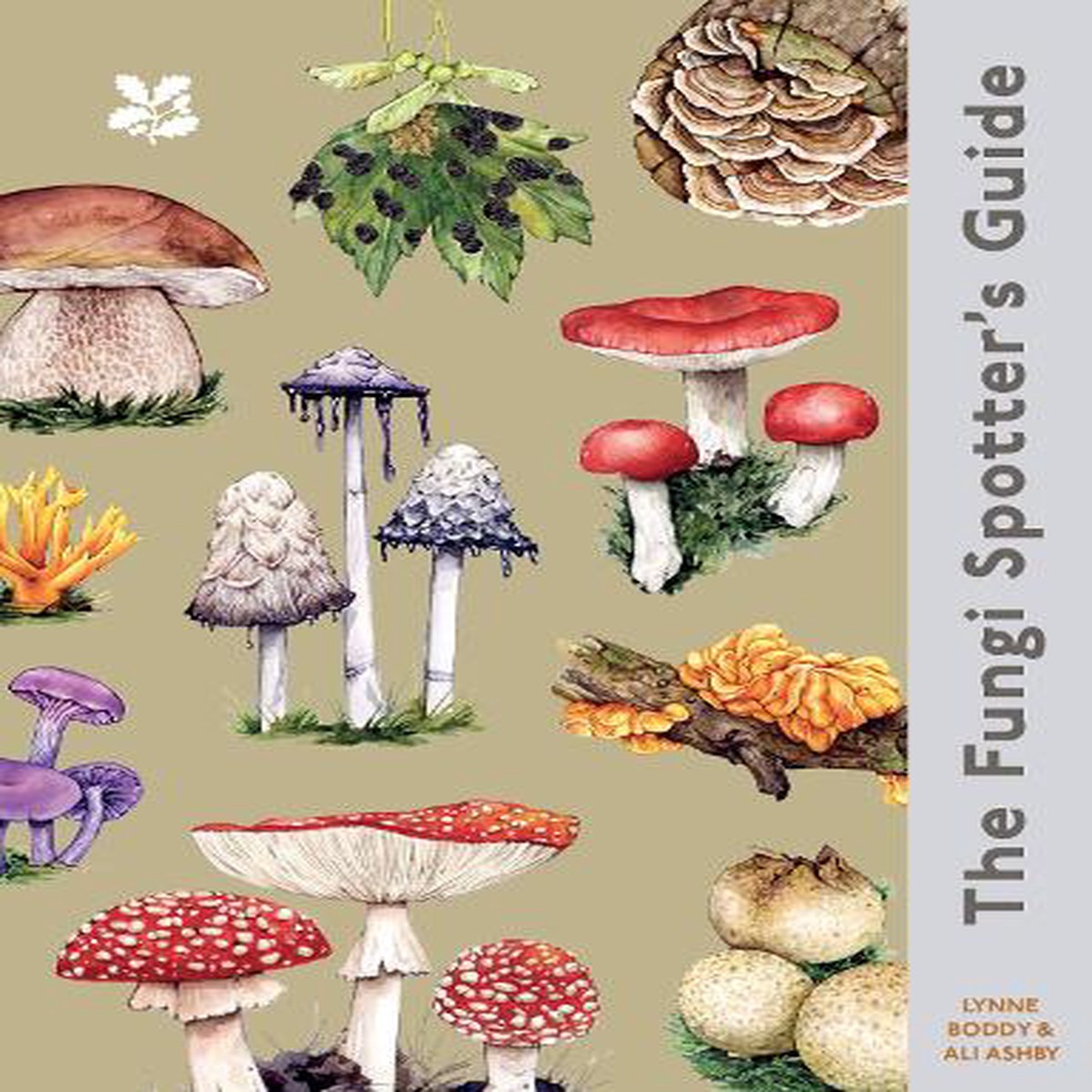 The Fungi Spotter’s Guide