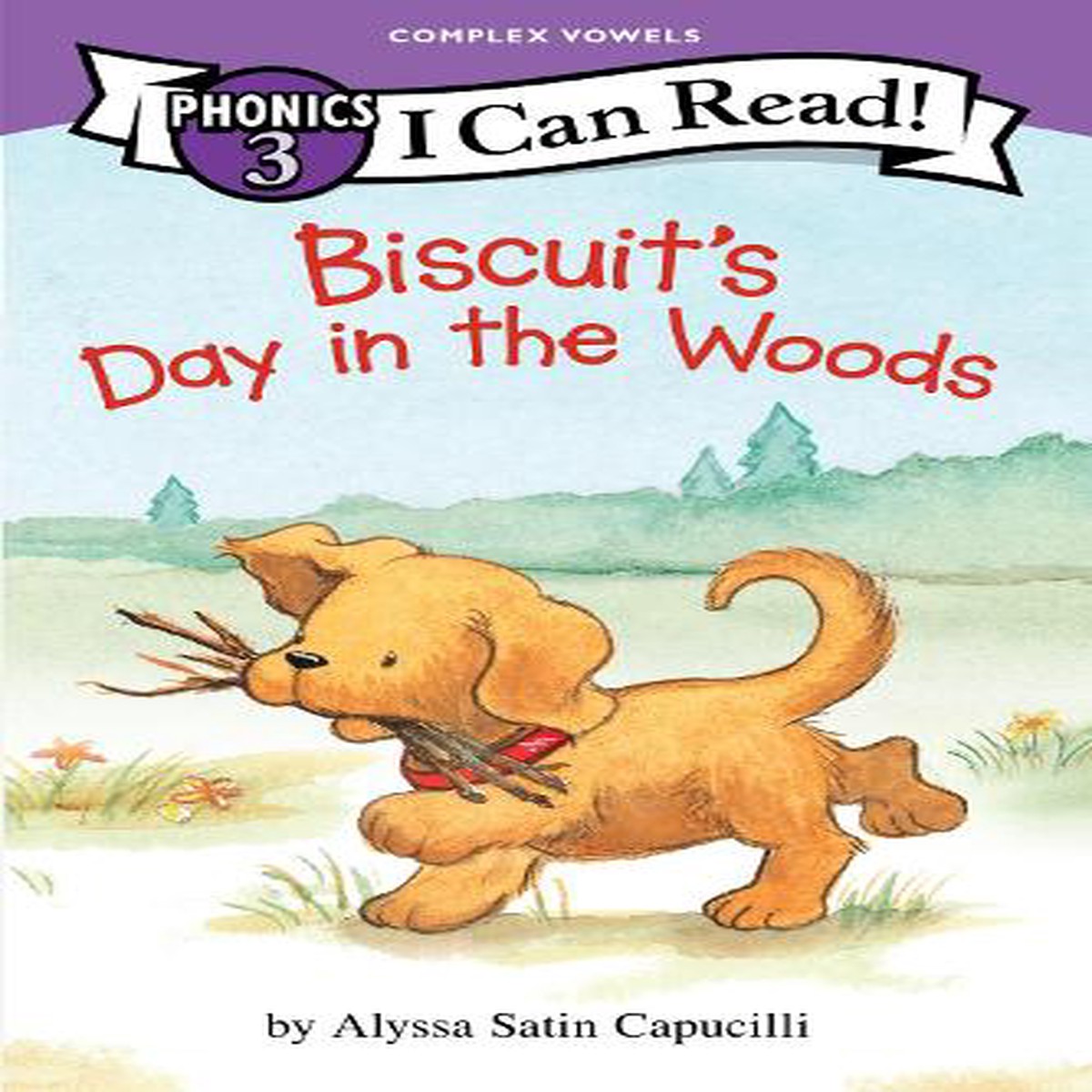 Biscuits Day in the Woods (I Can Read Phonics)