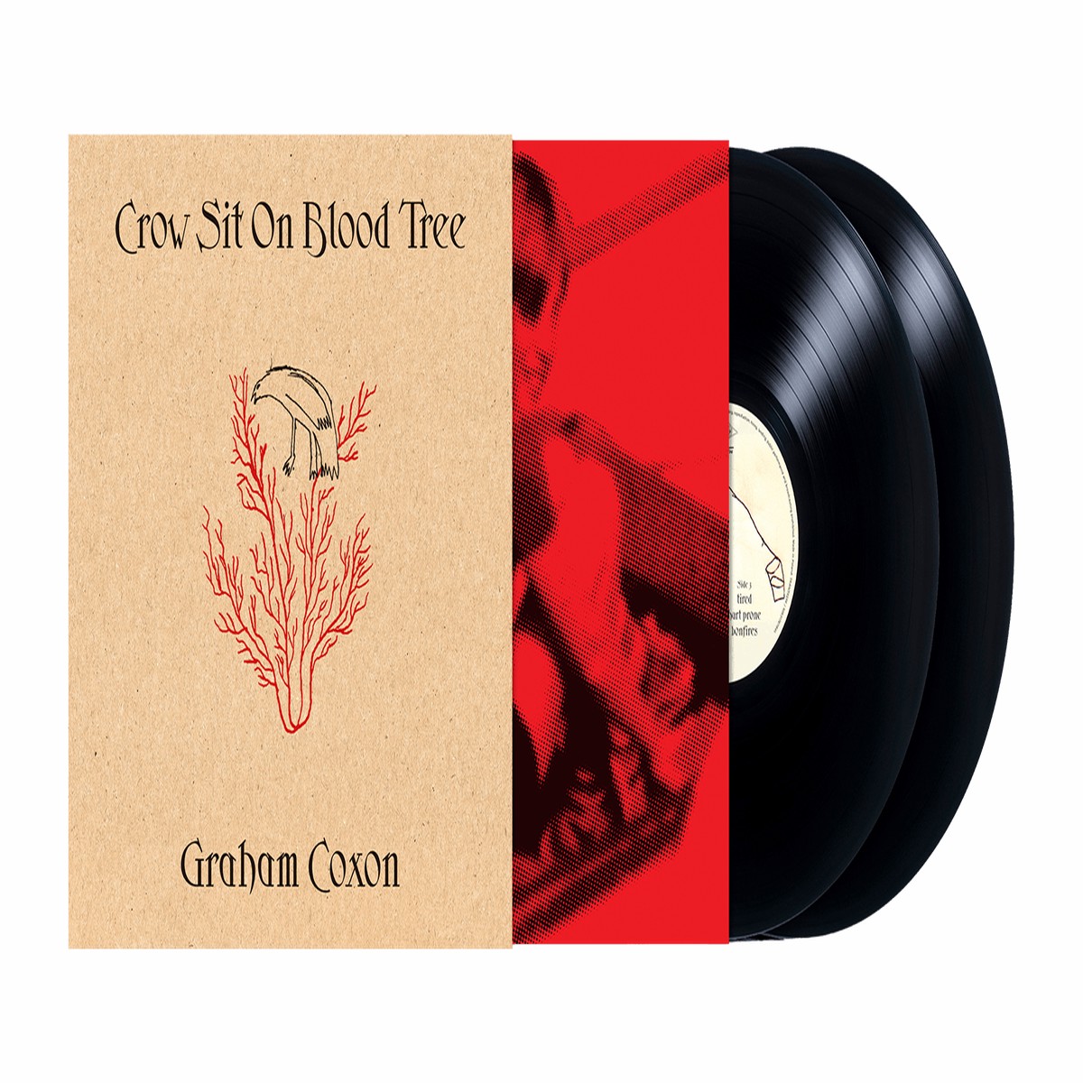Graham Coxon : Crow Sit On Blood Tree
