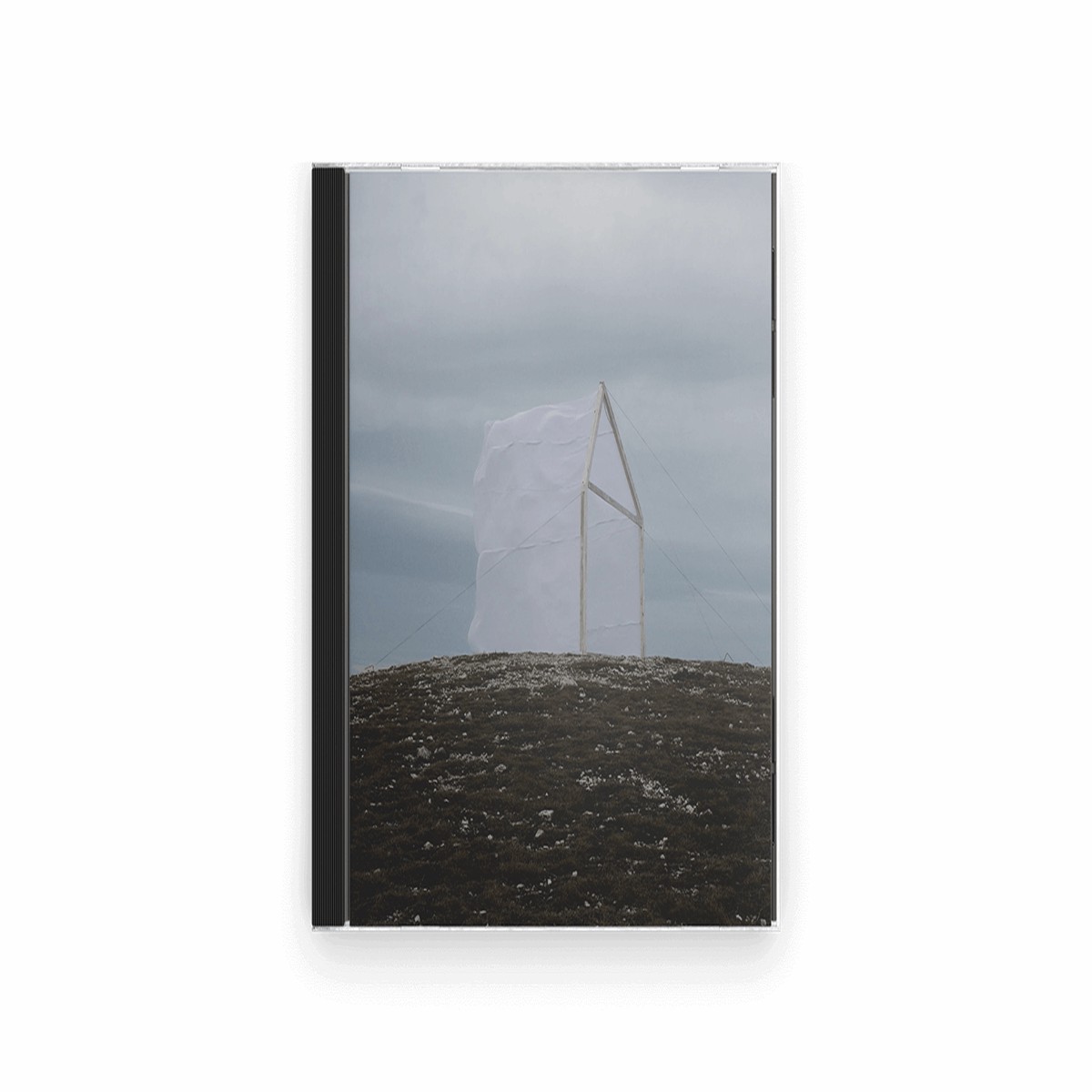 For Those I Love : Carving The Stone (CD)