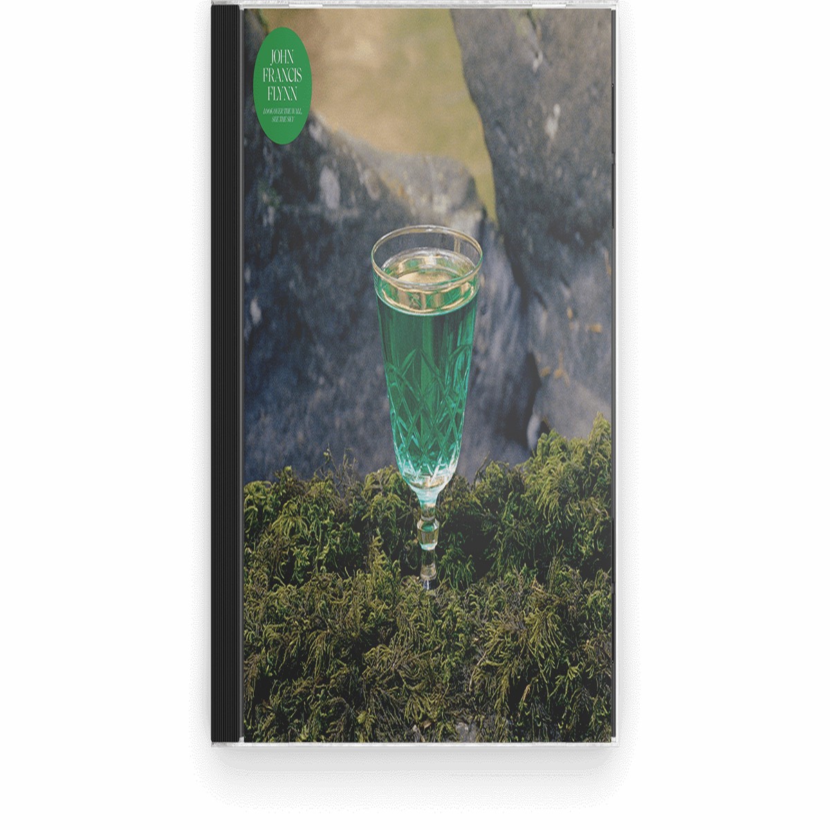 Hot Sale John Francis Flynn : Look Over The Wall, See The Sky