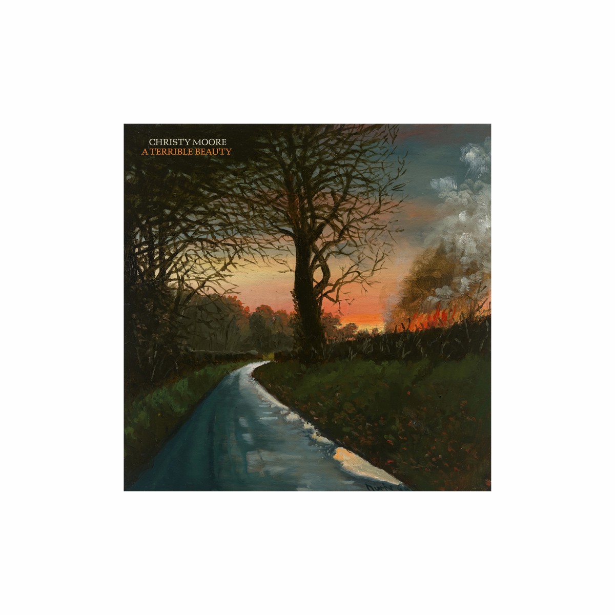 New Arrival Christy Moore : A Terrible Beauty (CD)