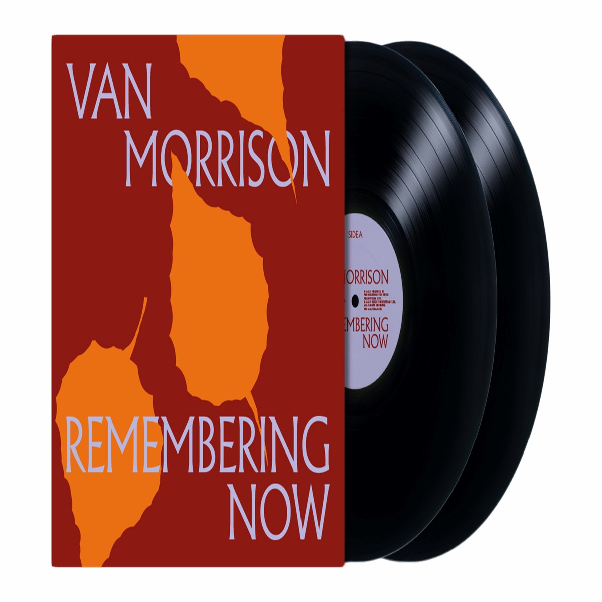 Van Morrison : Remembering Now