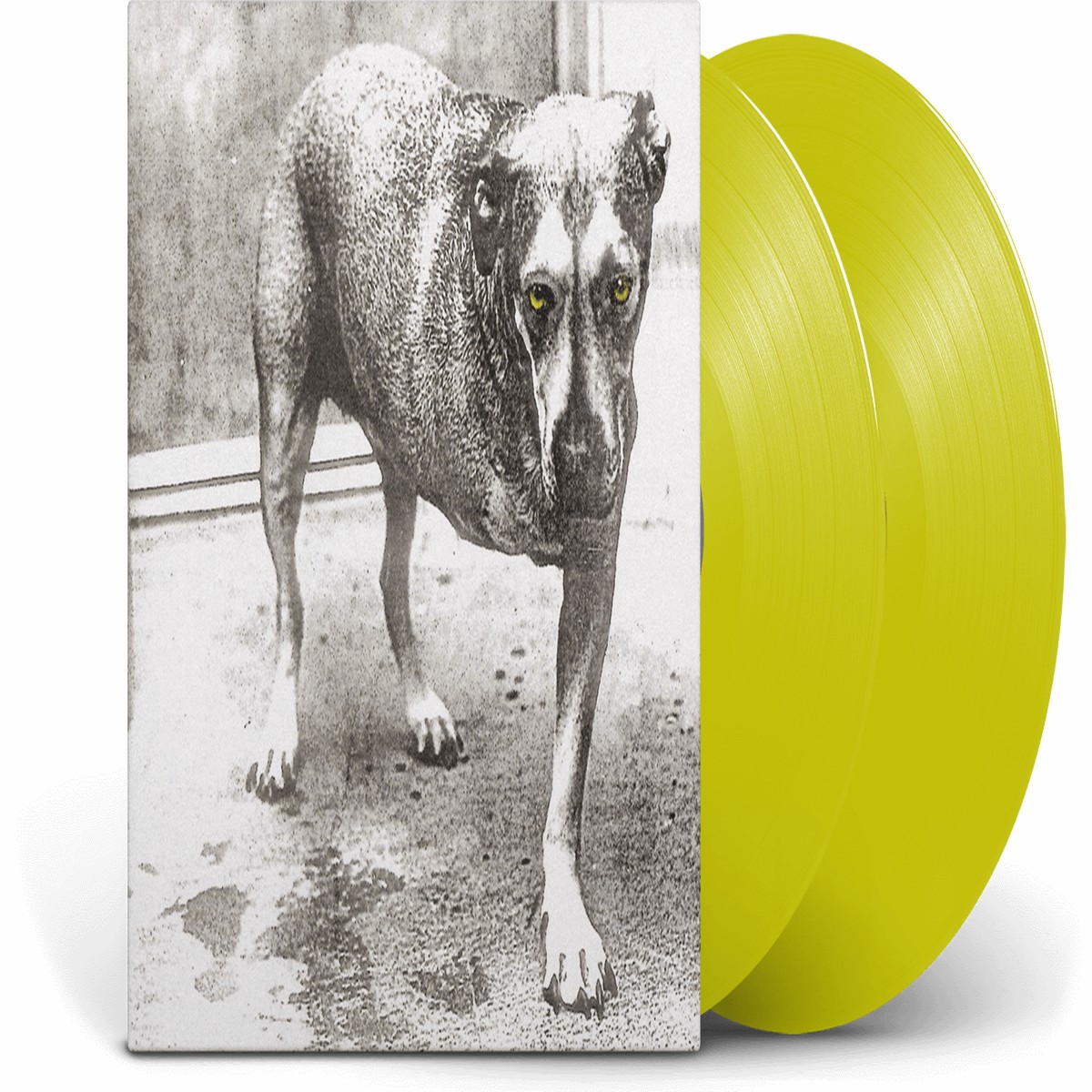 Alice in Chains : Alice in Chains – 30th Anniversary (Yellow Vinyl)