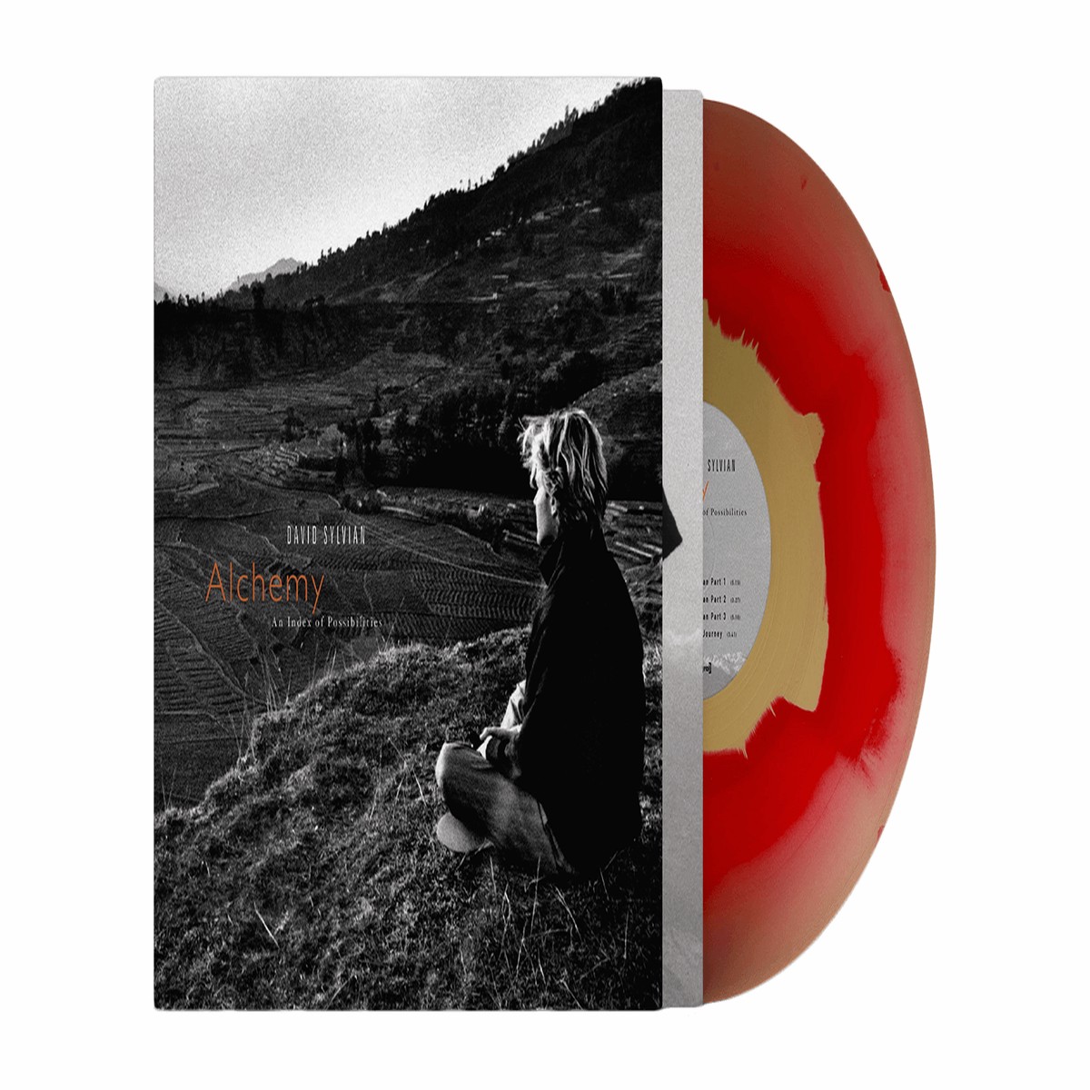 David Sylvian & Jon Hassell : Alchemy – An Index Of Possibilities (Corona Gold Opaque Red Vinyl)