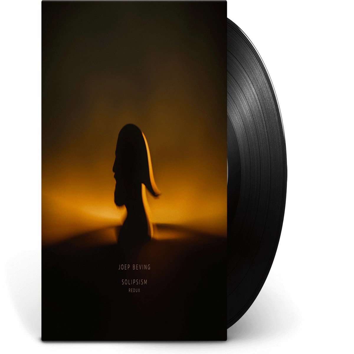 Joep Beving : Solipsism Redux