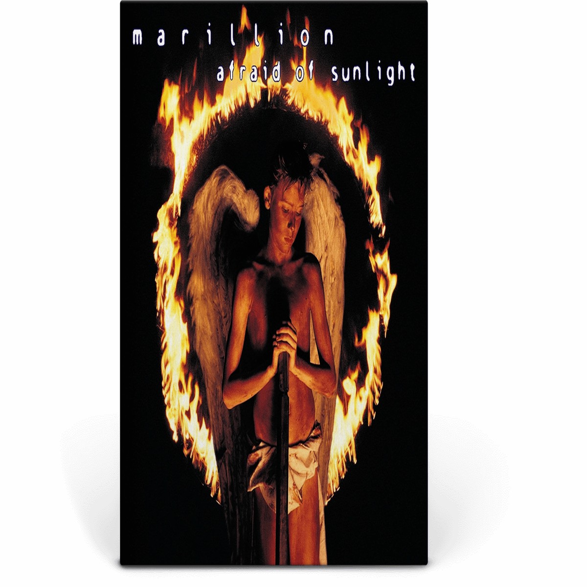 Marillion : Afraid of Sunlight (30th Anniversary Picture Disc)