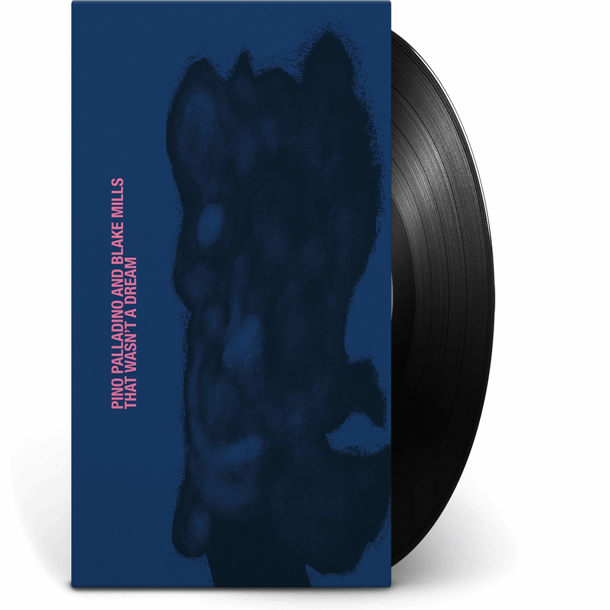Pino Palladino & Blake Mills : That Wasn’t a Dream