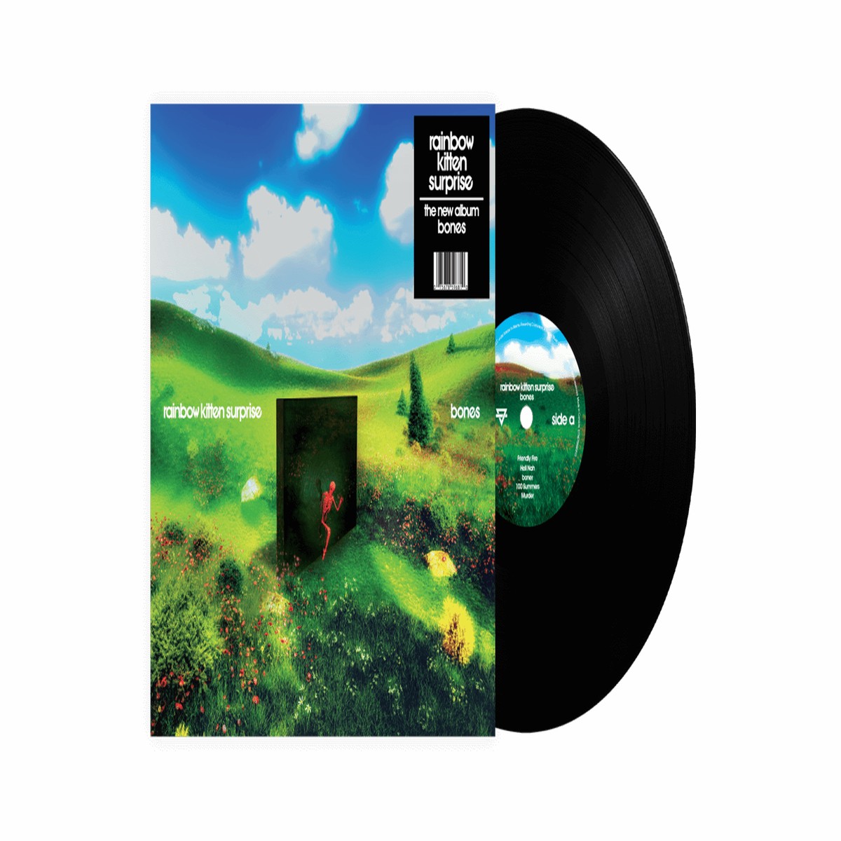Rainbow Kitten Surprise : bones (STD Black Vinyl)