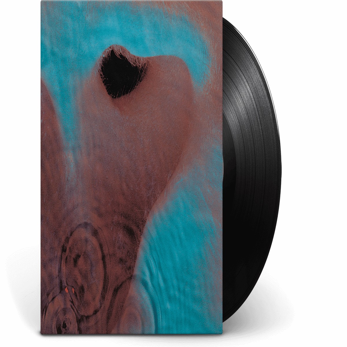 New Arrival Pink Floyd : Meddle