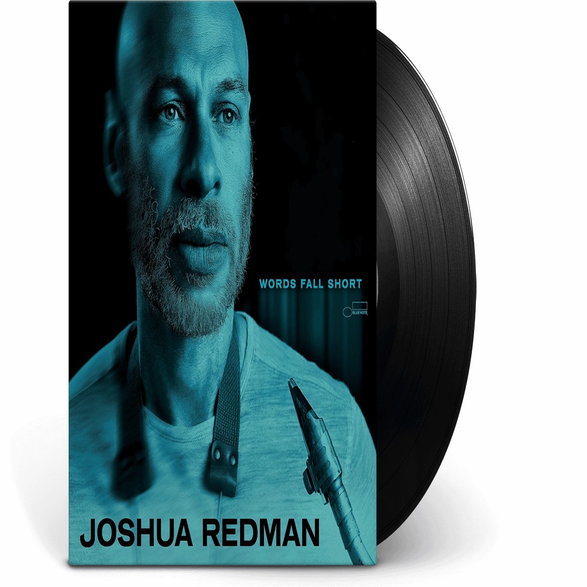Joshua Redman : Words Fall Short