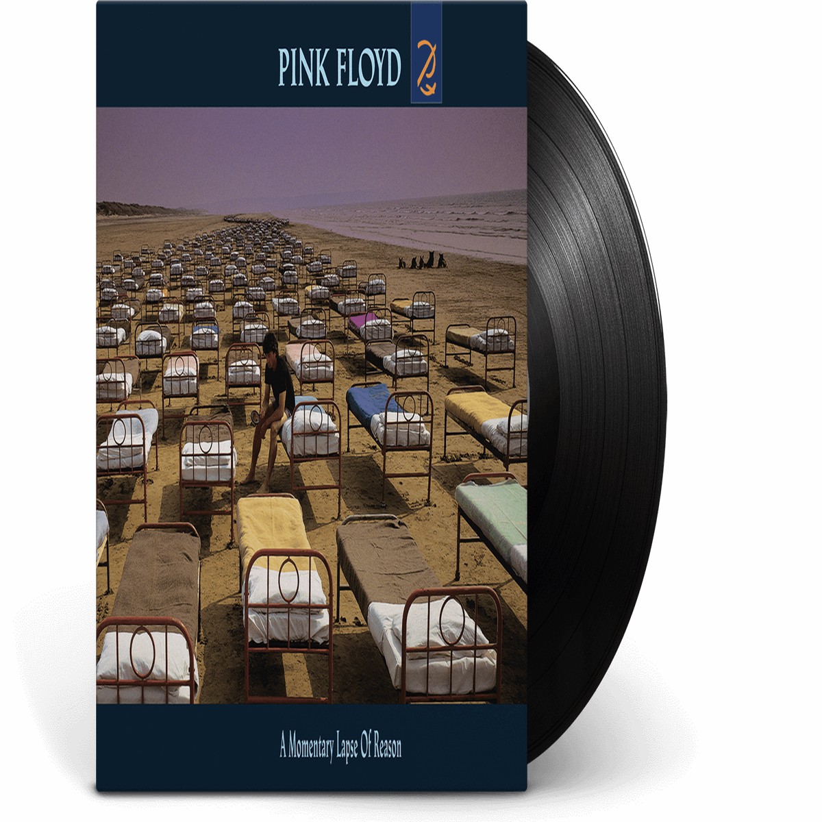 Pink Floyd : A Momentary Lapse of Reason