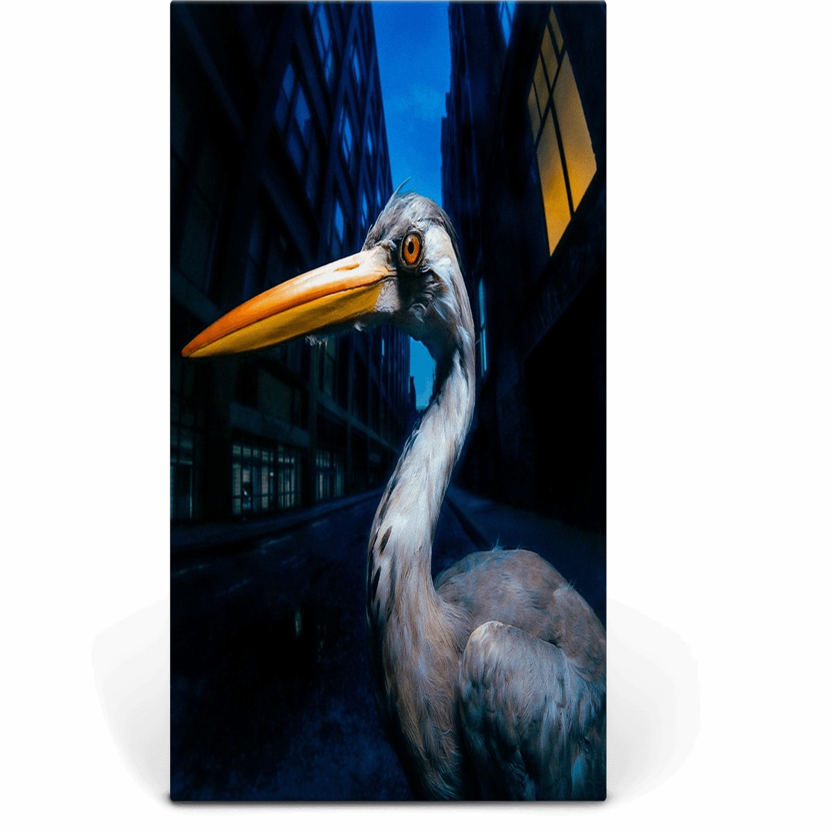 Antony Szmierek : Decoding Birdsong (Beak Yellow)