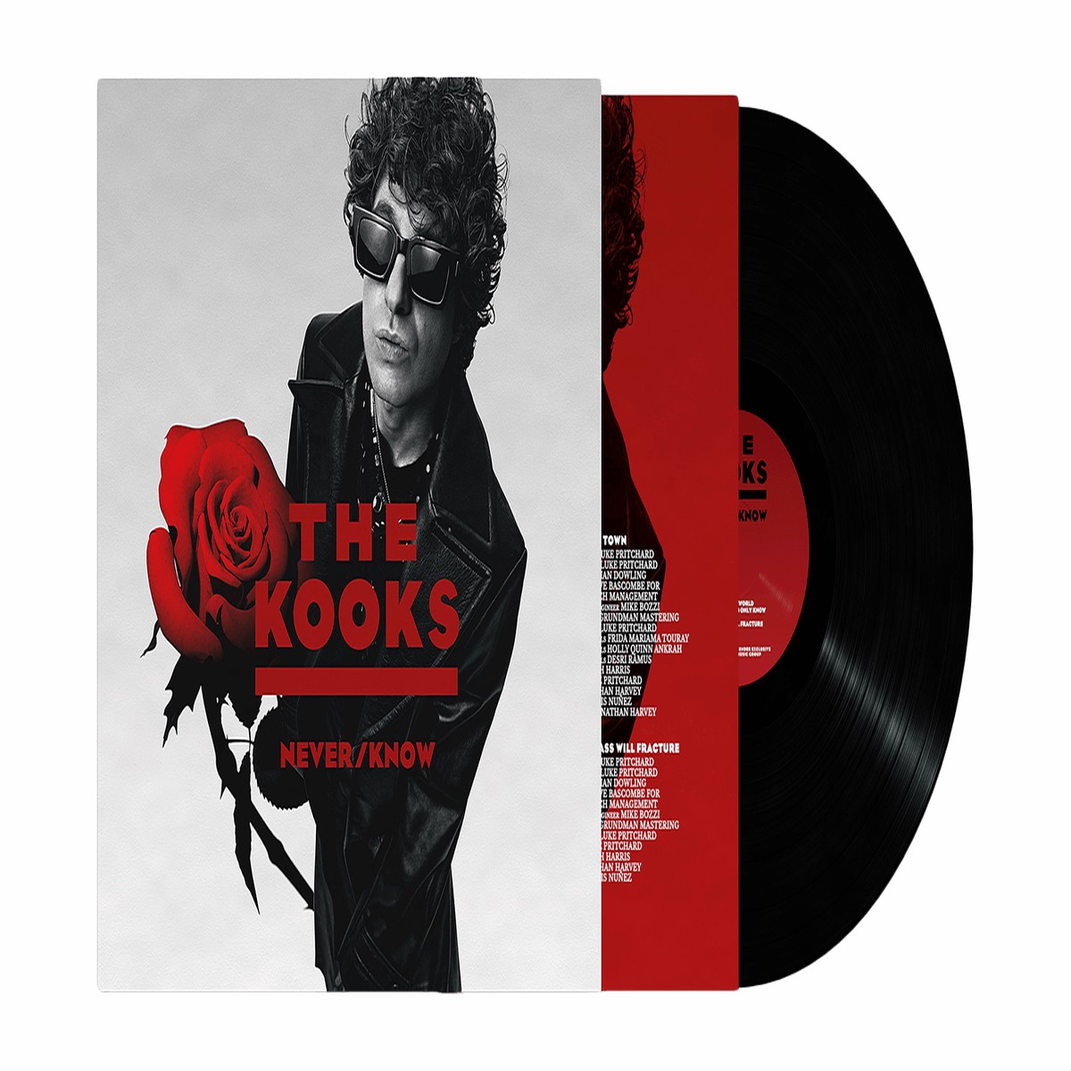 The Kooks : Never/Know