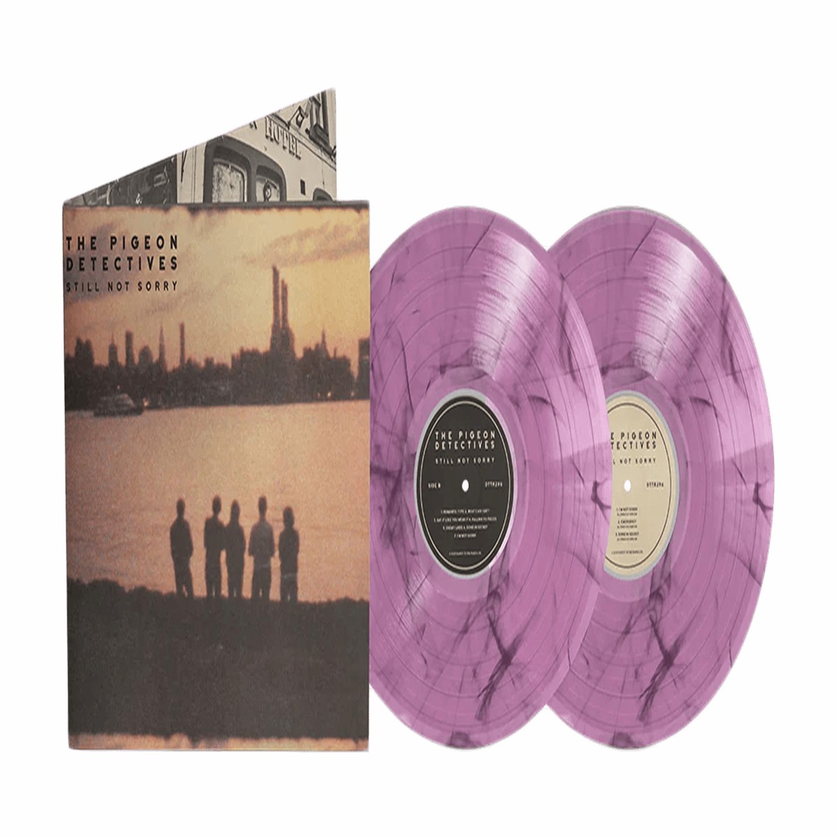 The Pigeon Detectives : Still Not Sorry – The Best Of (Purple & Black Marble Vinyl)