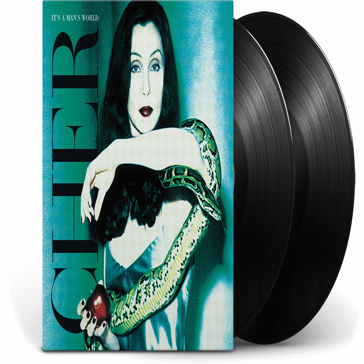 Cher : It’s a Man’s World